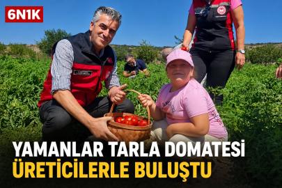 Yamanlar Tarla Domatesi İçin Üretici Buluşması