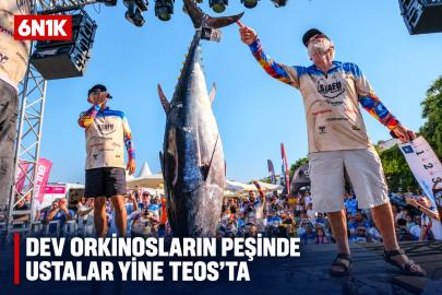 Dev orkinosların peşinde ustalar yine Teos’ta