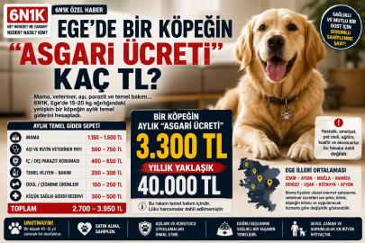 EGE’DE BİR KÖPEĞİN “ASGARİ ÜCRETİ” KAÇ TL?-6N1K ÖZEL