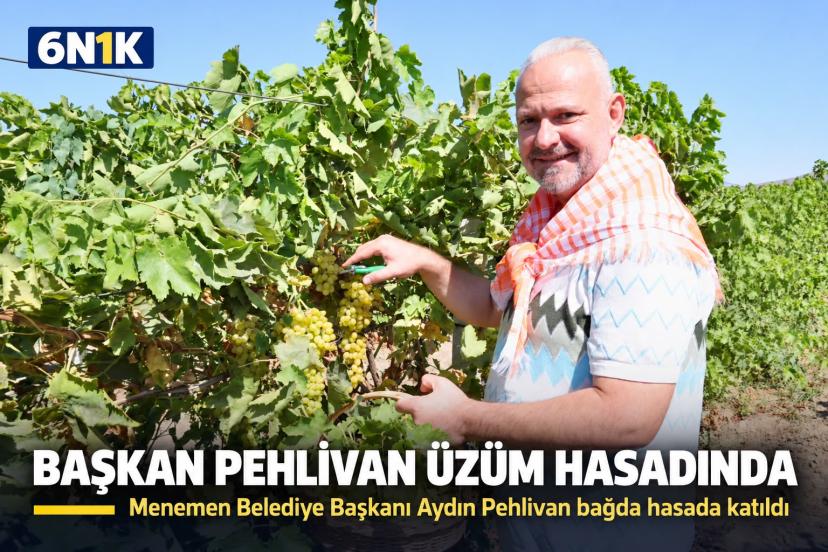 Menemen’de bağ bozumu: 18 bin ton rekolte bekleniyor