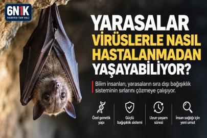 YARASALAR VİRÜSLERLE NASIL HASTALANMADAN YAŞAYABİLİYOR?